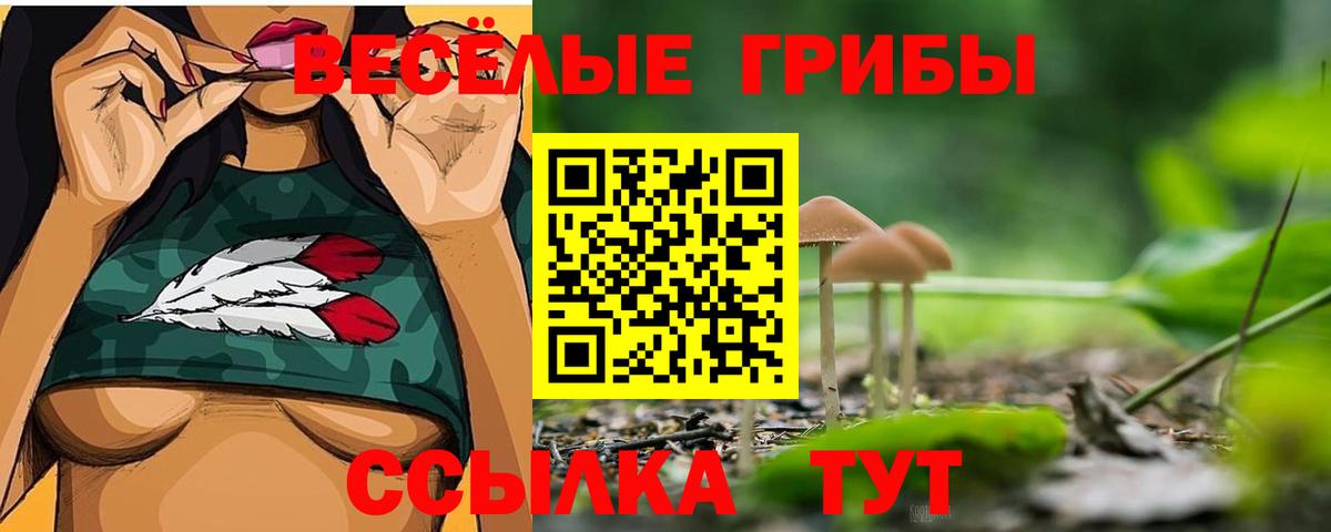 Галлюциногенные грибы Cubensis  Вход с VPN  Псилоцибиновые грибы прущие грибы  Татарск 